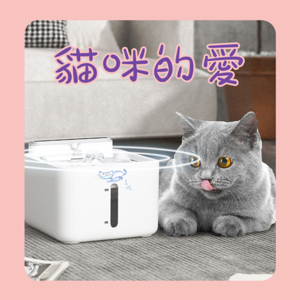 2 王大炮貓貓飲水機