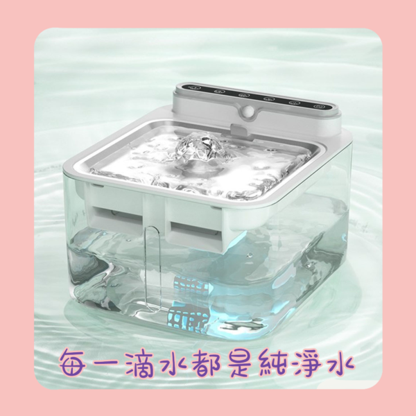 3 王大炮貓貓飲水機