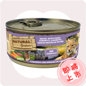 鵪鶉豬豬成貓罐罐