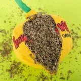檸檬-貓草玩具