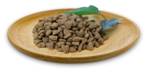 灰藍鮭🐟️🐔5kg