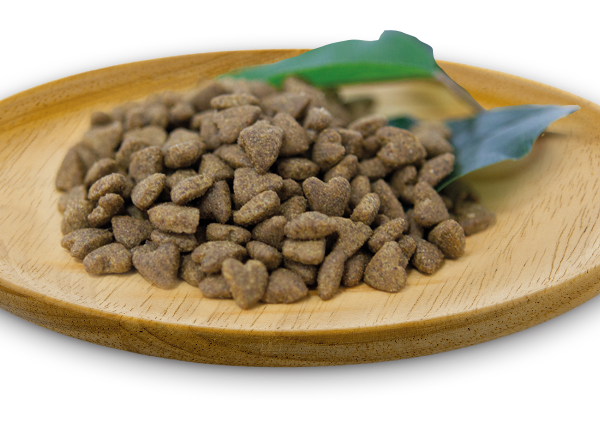 灰藍鮭🐟️🐔5kg