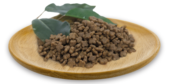 綠🐑食譜6公斤