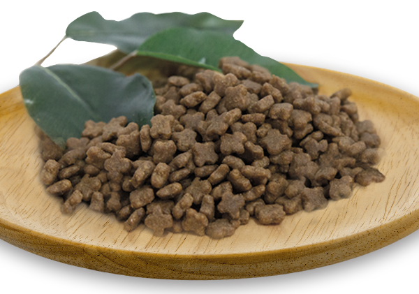 綠🐑食譜6公斤