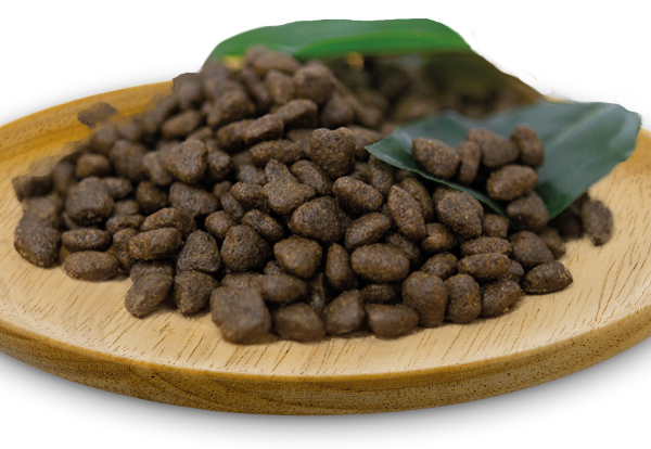 naturalgreatness_croquetas_salmonrecipe1 深藍鮭🐟️食譜6公斤