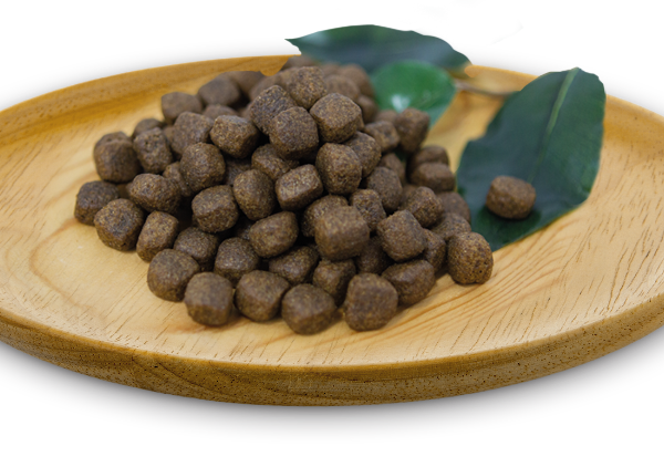 棕🦃食譜10公斤