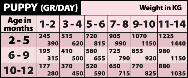 正紅🐔罐罐400g