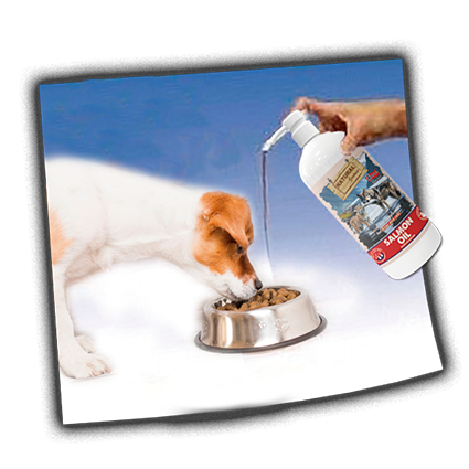 perro_aceite 挪威峽灣鮭魚油