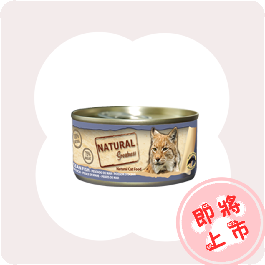海🐟️小罐70g