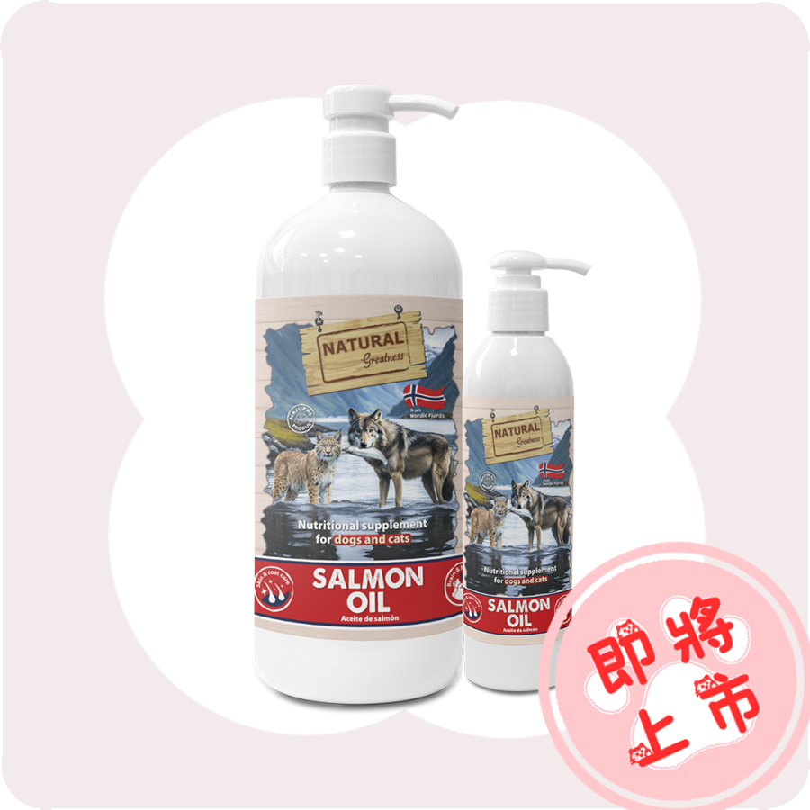 挪威峽灣鮭魚油